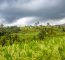 A Hindu Shrine In The Jatiluwih Rice Terraces - UNESCO World Heritage Site - Bali, Indonesia